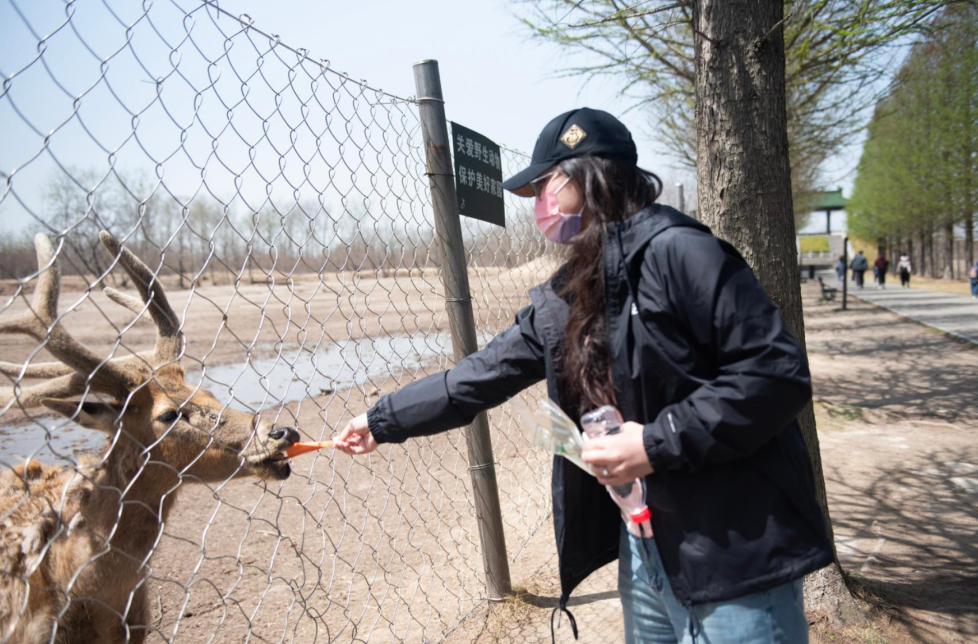 1745894260915408.png 1745894260915408.png